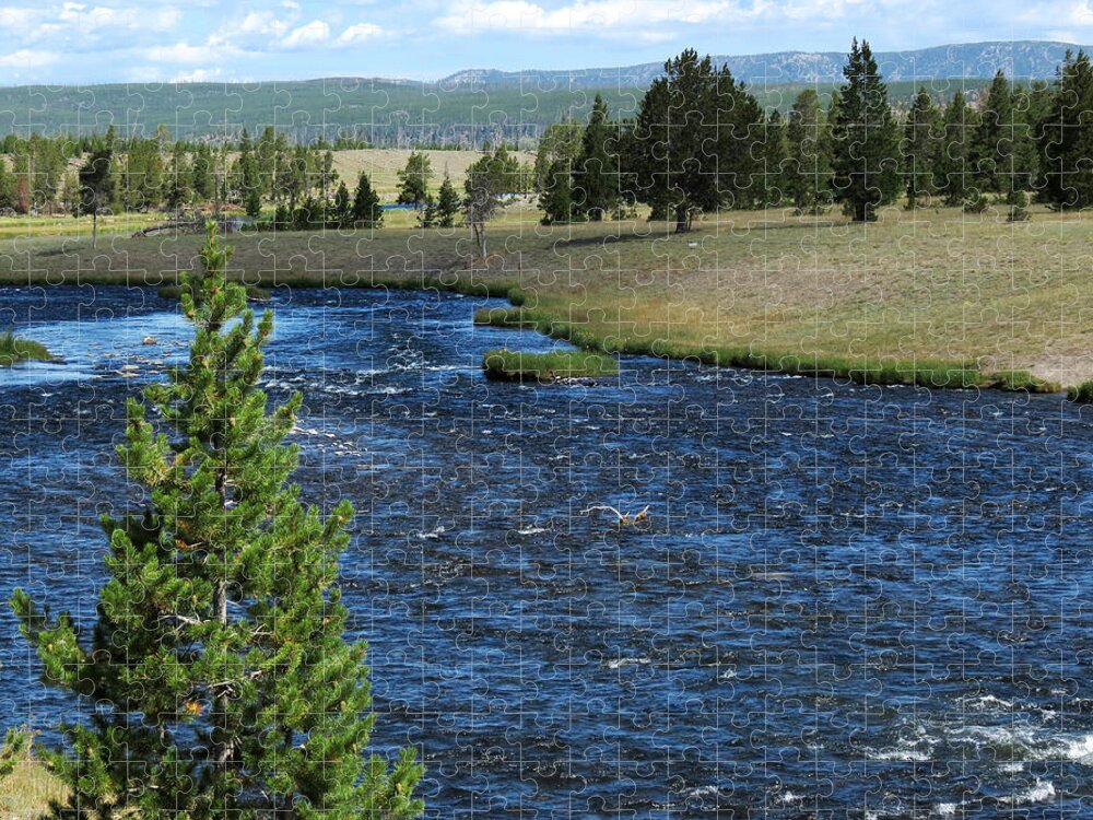 Yellowstone National Park Jigsaw Puzzle featuring the photograph A River Runs Through Yellowstone by Laurel Powell