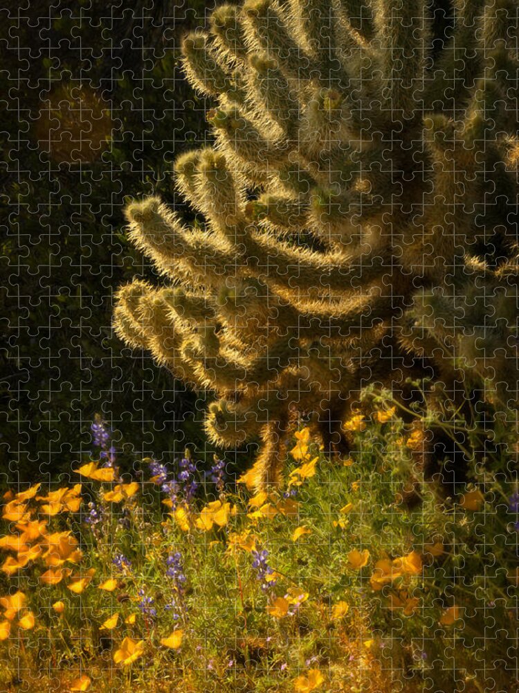 Spring Jigsaw Puzzle featuring the photograph A Southwestern Spring by Saija Lehtonen