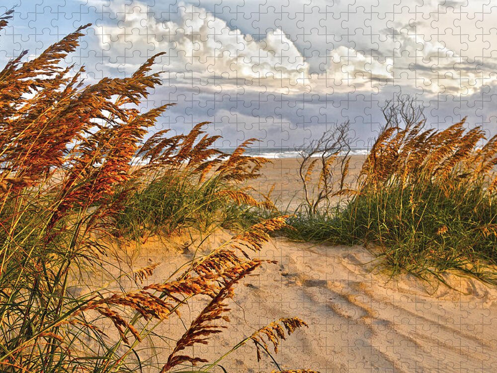 North Carolina Jigsaw Puzzle featuring the painting A Splendid Day at the Beach - Outer Banks by Dan Carmichael