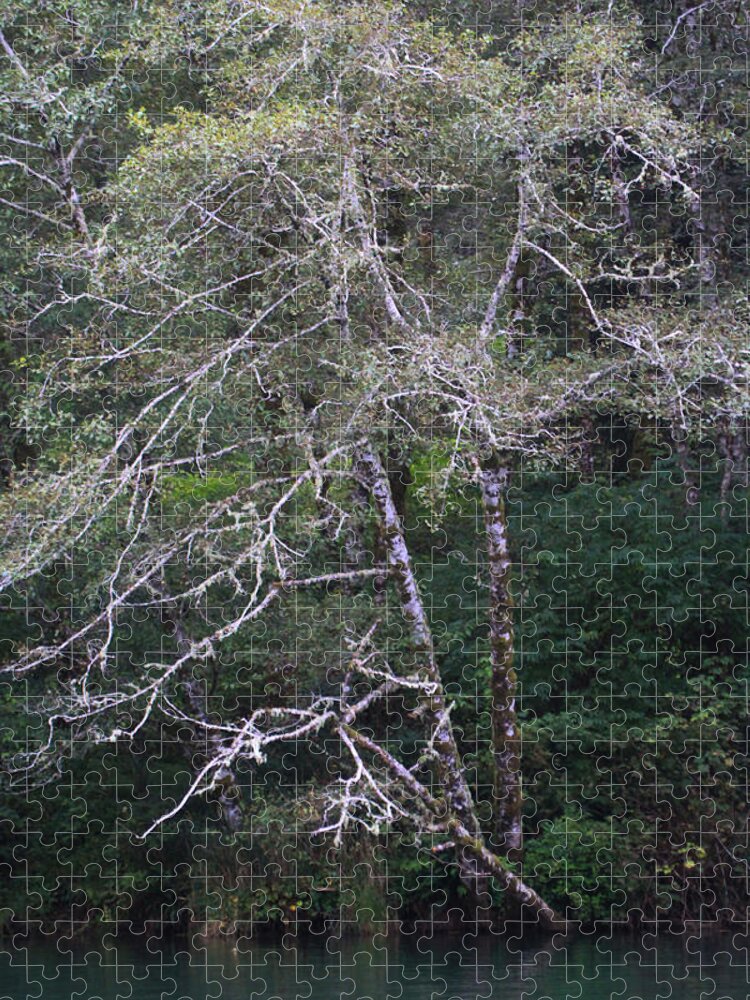 A Tree Along The Oregon Coast Jigsaw Puzzle featuring the photograph A Tree Along The Oregon Coast by Tom Janca