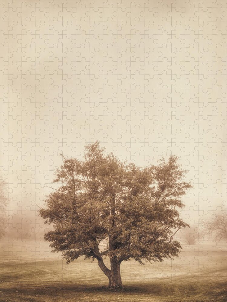 Tree Jigsaw Puzzle featuring the photograph A Tree in the Fog by Scott Norris