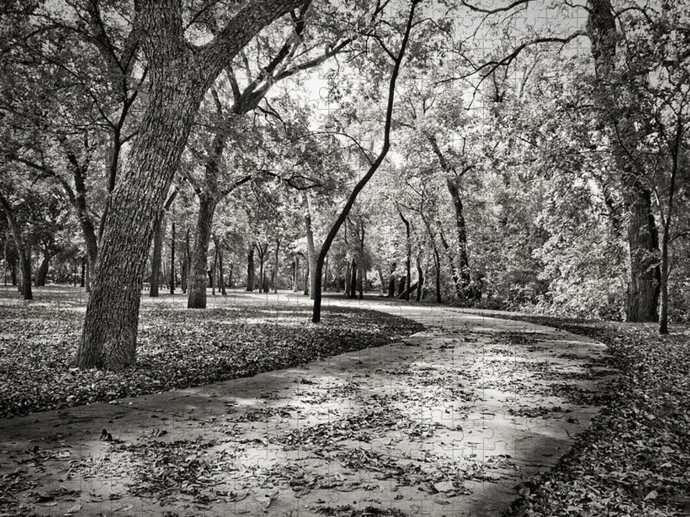 Black And White Jigsaw Puzzle featuring the photograph A Walk In The Park by Darryl Dalton