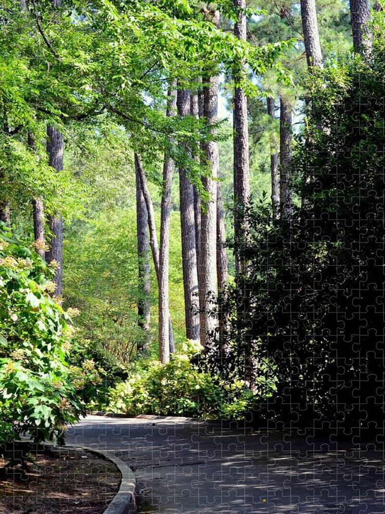 A Walk In The Shade Jigsaw Puzzle featuring the photograph A Walk in the Shade by Maria Urso