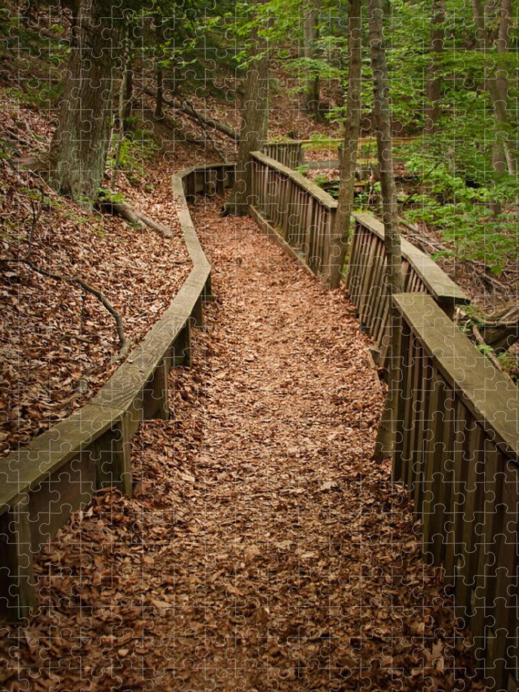 3scape Jigsaw Puzzle featuring the photograph A Walk in the Woods by Adam Romanowicz