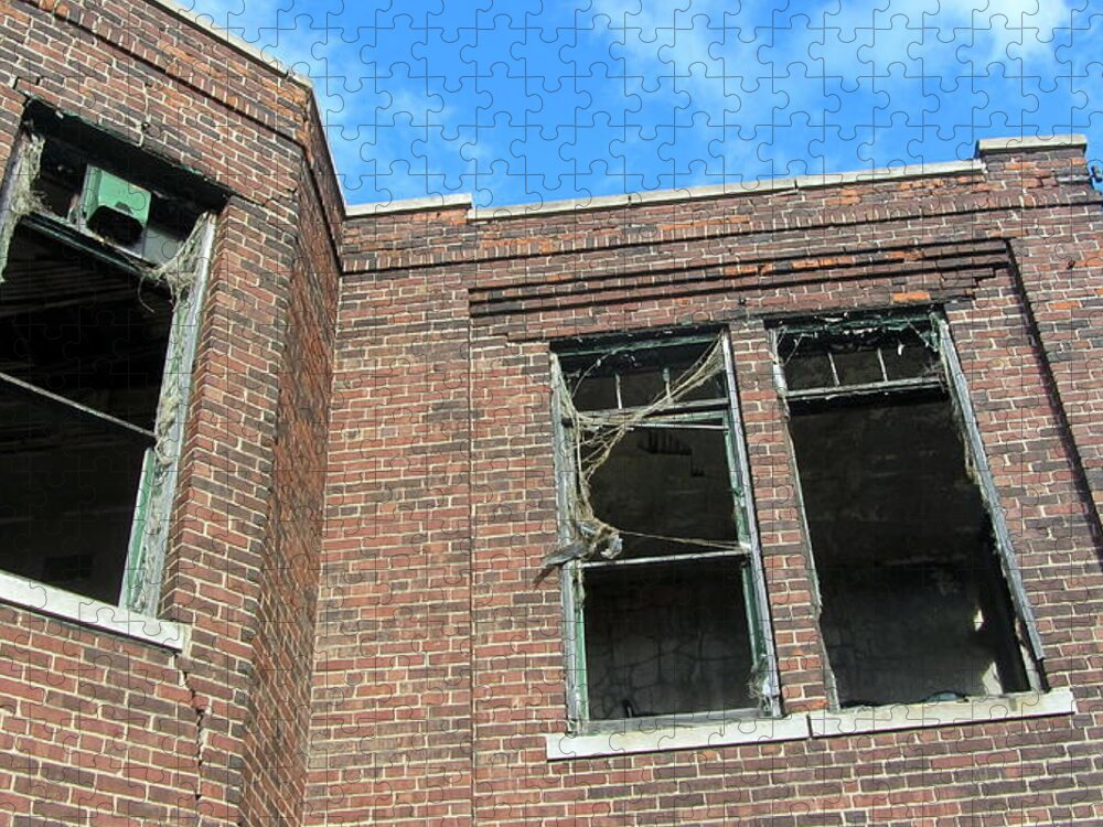Abandoned Jigsaw Puzzle featuring the photograph Abandoned Building close up 1 by Anita Burgermeister