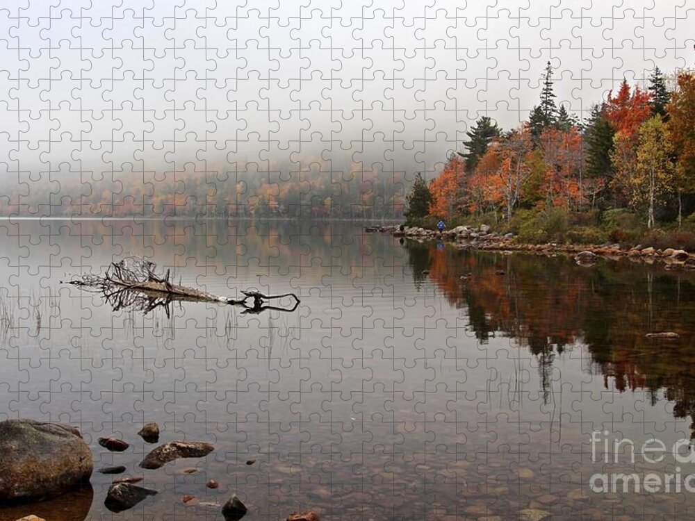 Acadia National Park Jigsaw Puzzle featuring the photograph Acadia in the Fog by Karin Pinkham