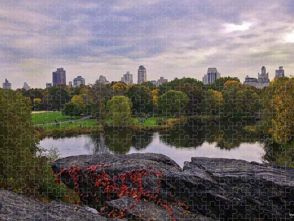 Central Park Jigsaw Puzzle featuring the photograph Across the Pond 2 - Central Park, NYC by Madeline Ellis