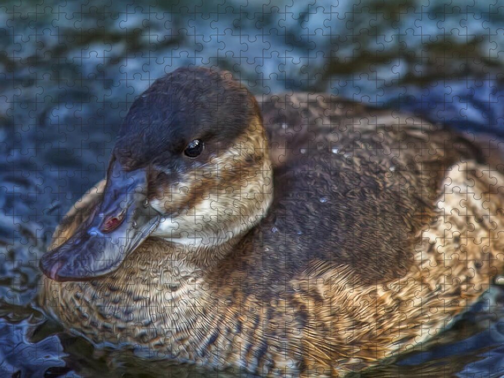 Duck Jigsaw Puzzle featuring the photograph Adult Female Ruddy Duck by Bill and Linda Tiepelman