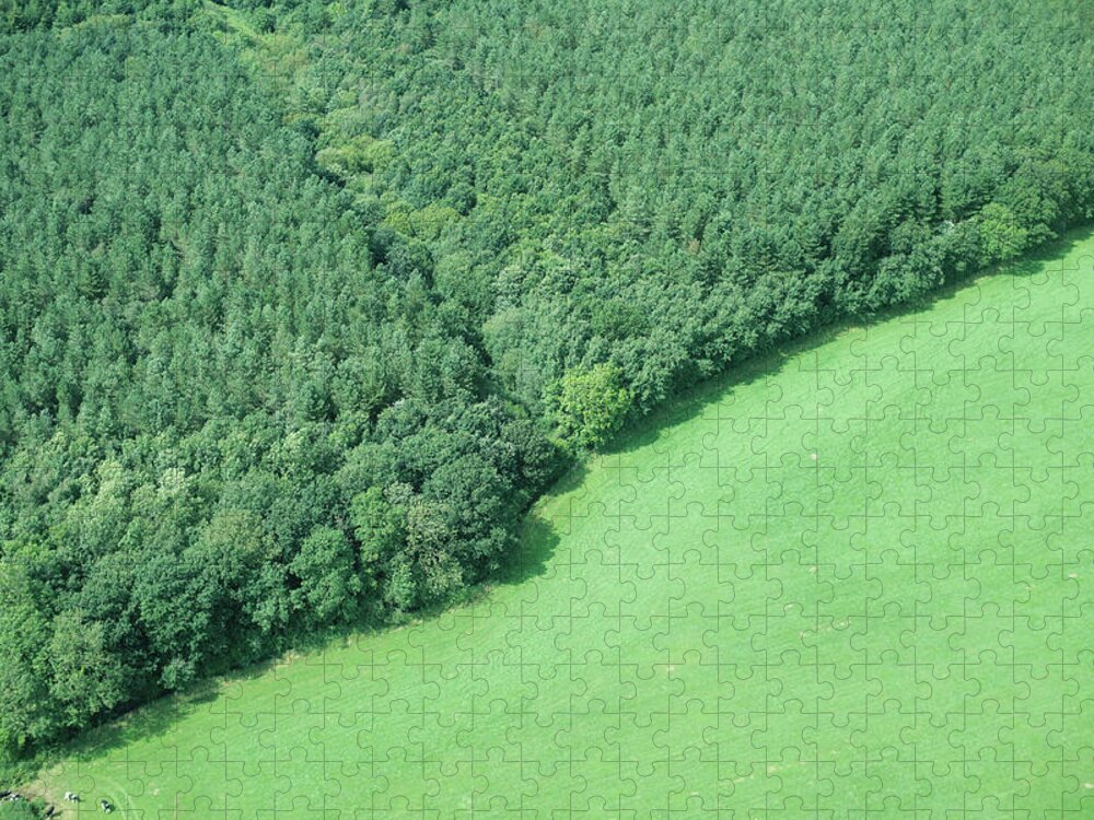 Scenics Jigsaw Puzzle featuring the photograph Aerial View Of Forest And Rural Field by Peter Muller