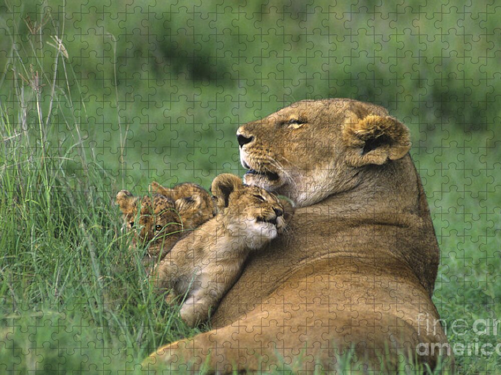 Africa Jigsaw Puzzle featuring the photograph African Lions Mother and Cubs Tanzania by Dave Welling