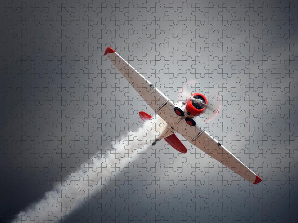 Airplane Jigsaw Puzzle featuring the photograph Aircraft in flight by Johan Swanepoel