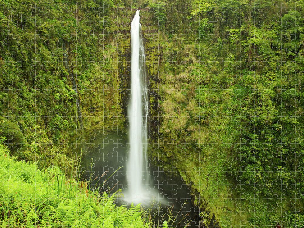 Scenics Jigsaw Puzzle featuring the photograph Akaka Falls by Tyler Hayward