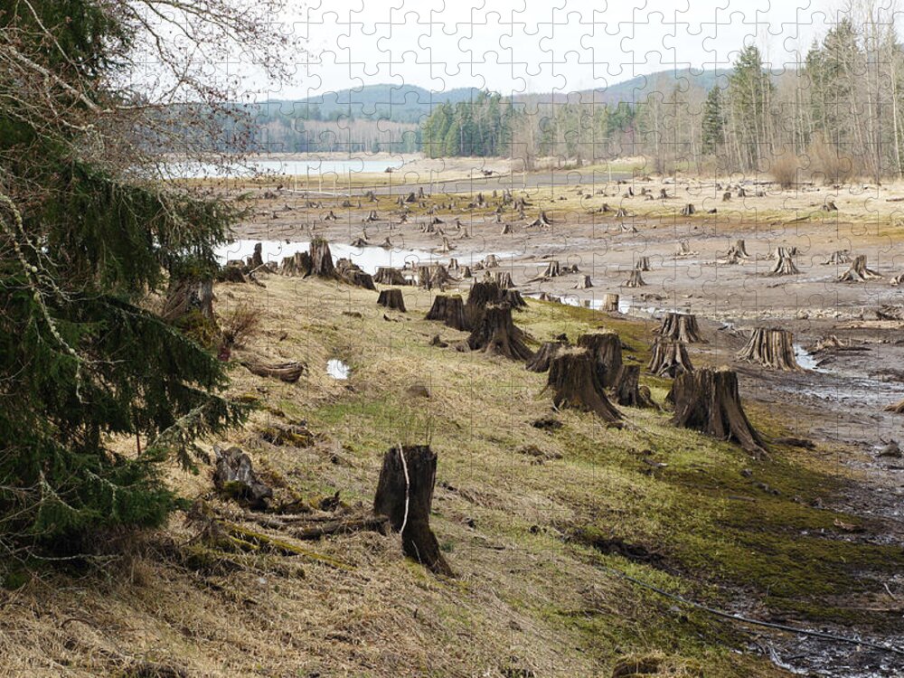 Wall Art Jigsaw Puzzle featuring the photograph Alder Lake by Ron Roberts