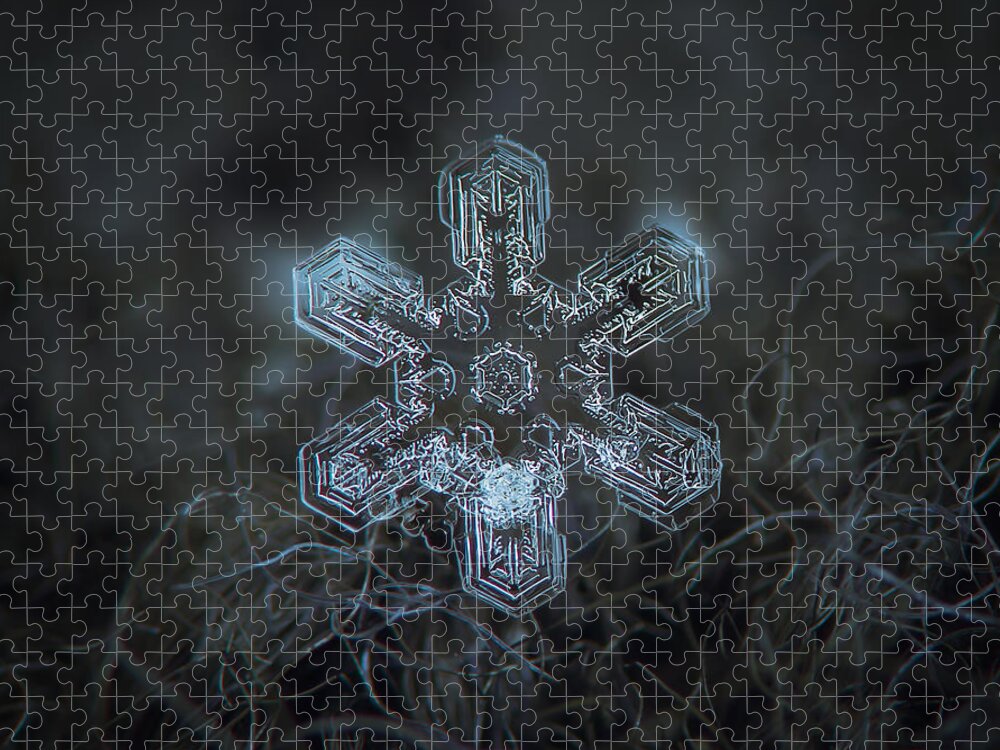Snowflake Jigsaw Puzzle featuring the photograph Snowflake photo - Alioth by Alexey Kljatov