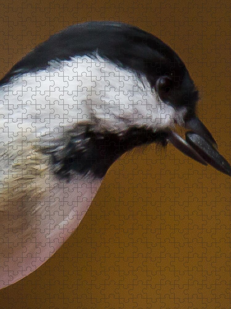 Chickadee Jigsaw Puzzle featuring the photograph All I need is one by Robert L Jackson
