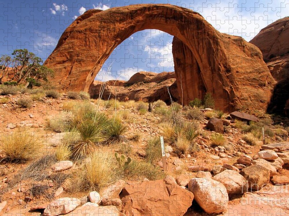 Rainbow Bridge Jigsaw Puzzle featuring the photograph All Lined Up by Adam Jewell