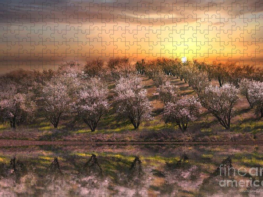 Grove Jigsaw Puzzle featuring the photograph Almonds by Stephanie Laird