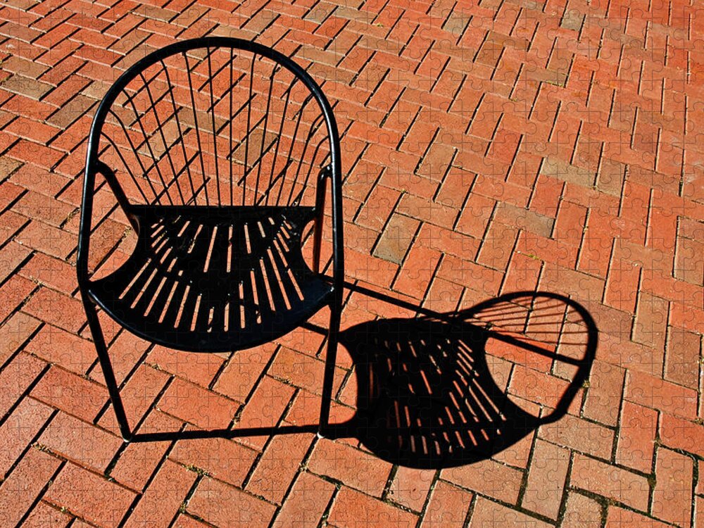 Chair Jigsaw Puzzle featuring the photograph Alone Together by Gary Slawsky