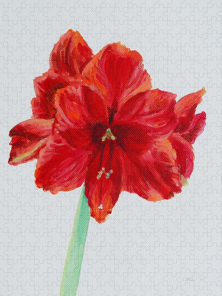 Red Jigsaw Puzzle featuring the painting Amaryllis by Michele Myers
