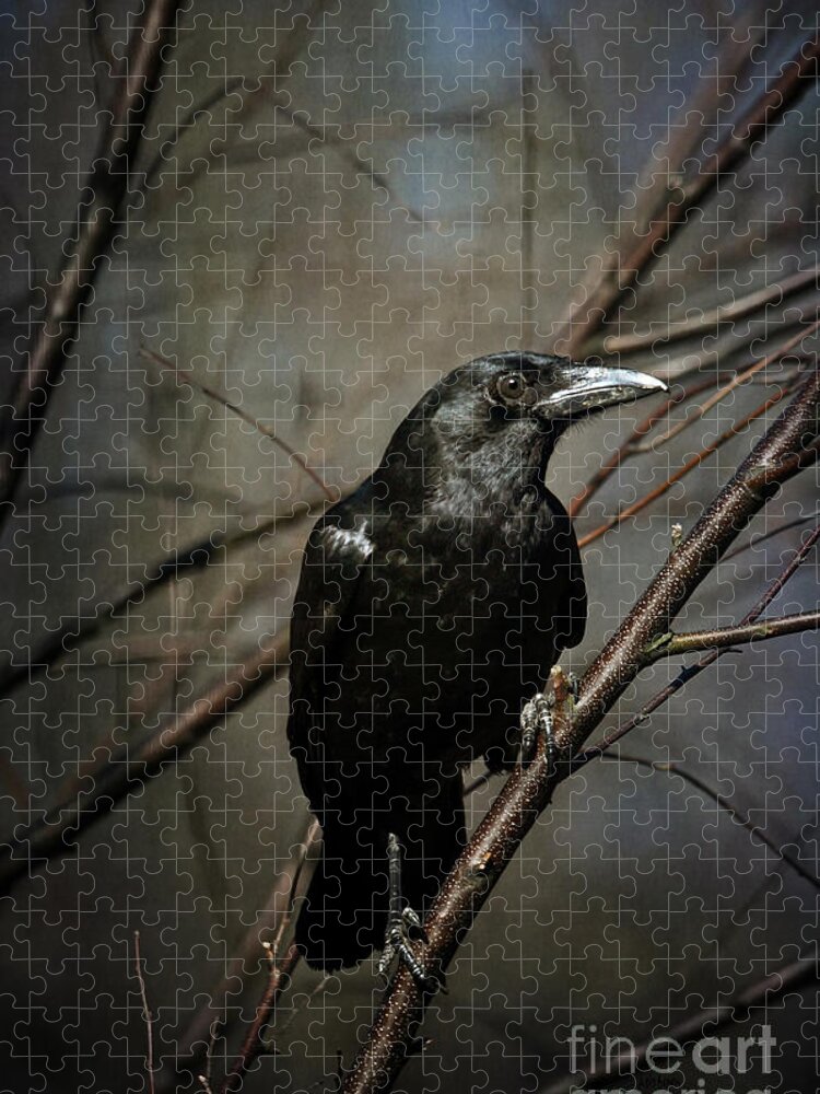 Crow Jigsaw Puzzle featuring the photograph American Crow by Lois Bryan