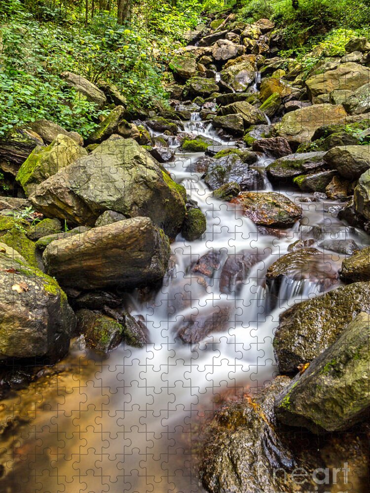 Amicalola-falls Jigsaw Puzzle featuring the photograph Amicalola Falls by Bernd Laeschke