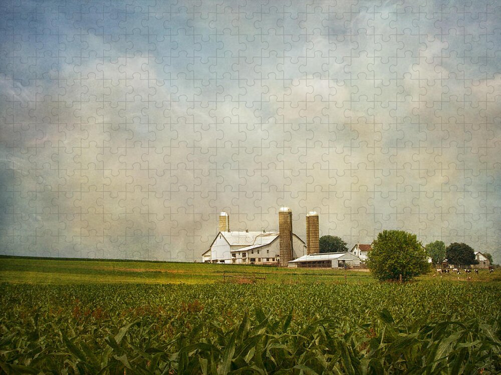 Rural Jigsaw Puzzle featuring the photograph Amish Farmland by Kim Hojnacki
