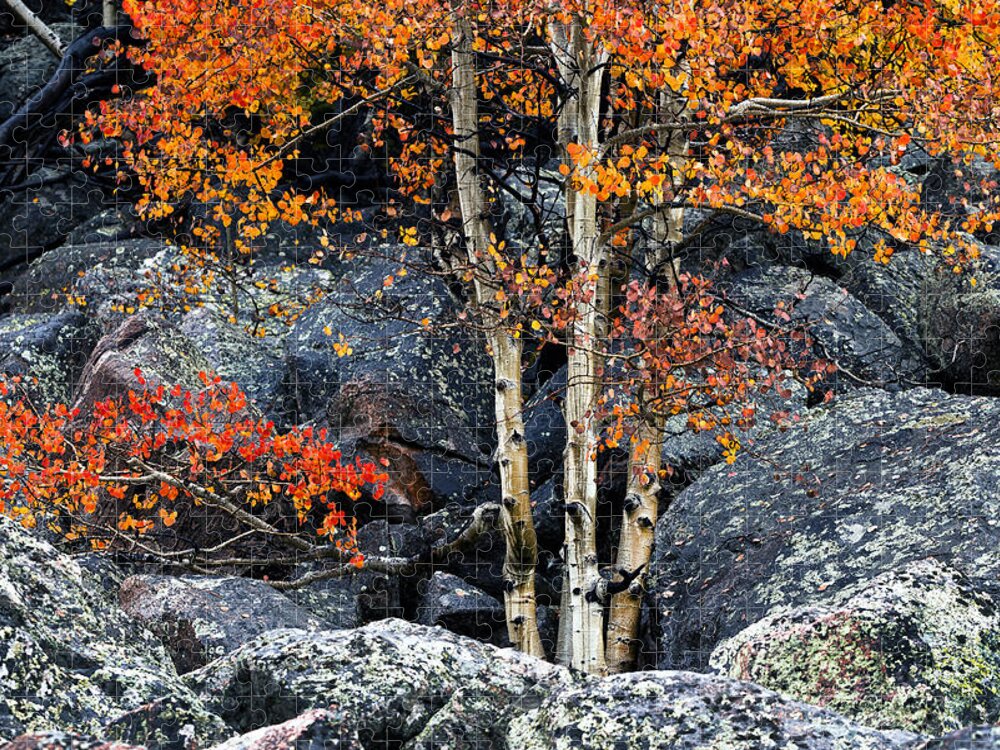 Among Boulders Jigsaw Puzzle featuring the photograph Among Boulders by Chad Dutson
