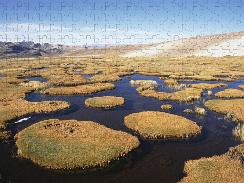 Feb0514 Jigsaw Puzzle featuring the photograph Andean High Mountain Bog Peru by Tui De Roy