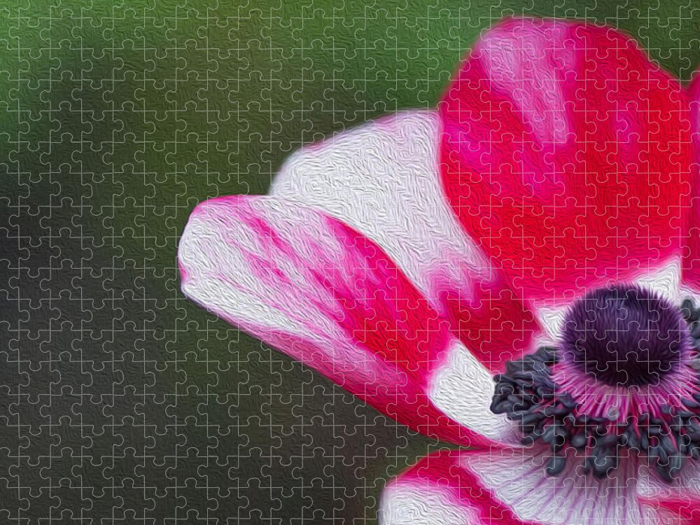 Photo Jigsaw Puzzle featuring the photograph Anemone - Red Center by Rebecca Cozart