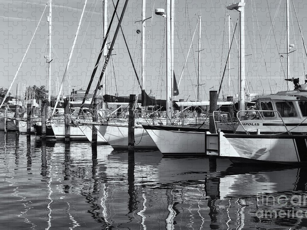 Clarence Holmes Jigsaw Puzzle featuring the photograph Annapolis Yacht Club IV by Clarence Holmes