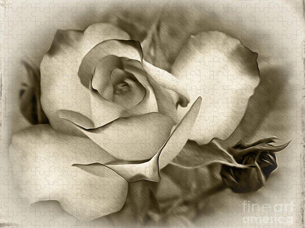 Photography Jigsaw Puzzle featuring the photograph Antique Rose by Kaye Menner