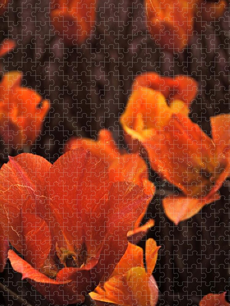 Tulip Jigsaw Puzzle featuring the photograph Antiqued Tulips by Michelle Calkins