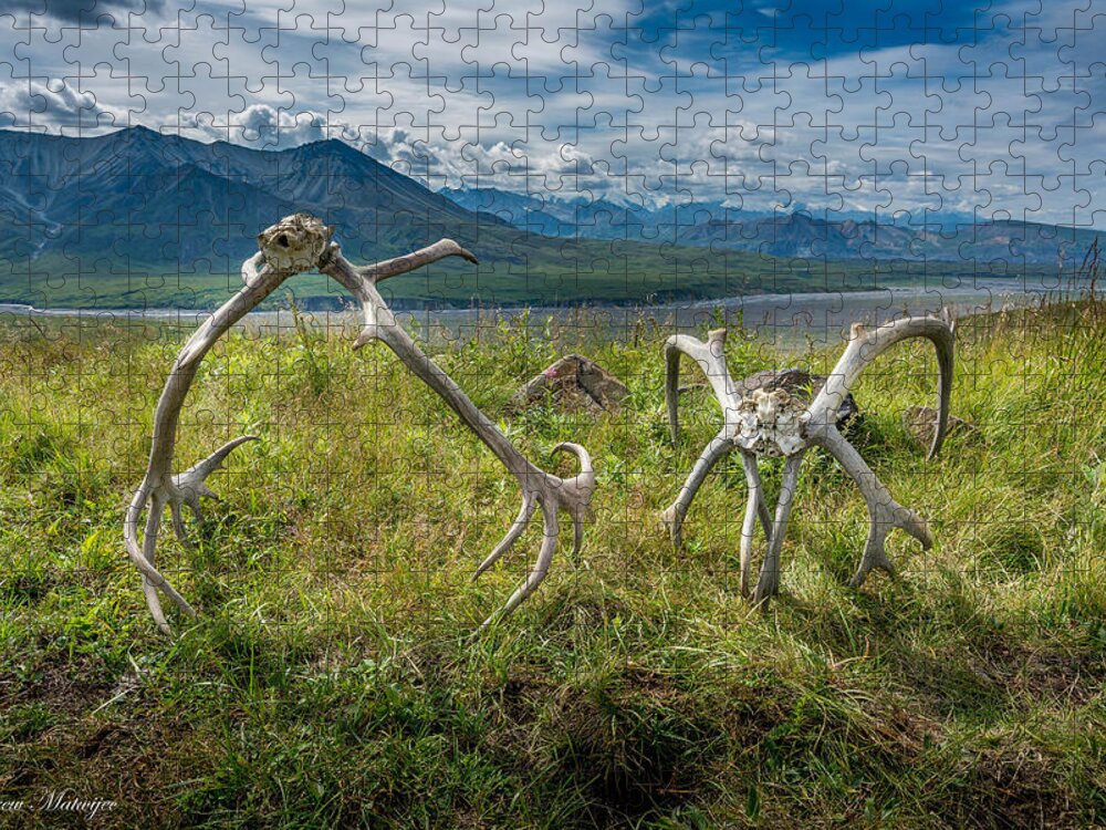 Deer Jigsaw Puzzle featuring the photograph Antlers on the Hill by Andrew Matwijec