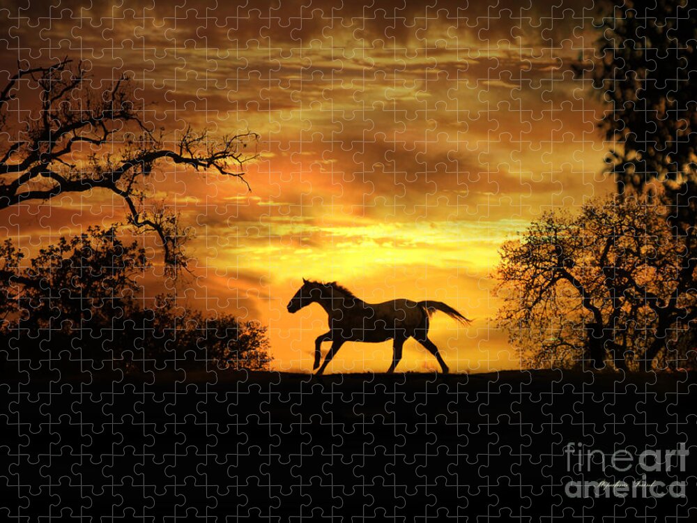 Horse Jigsaw Puzzle featuring the photograph Appaloosa Sunset by Stephanie Laird