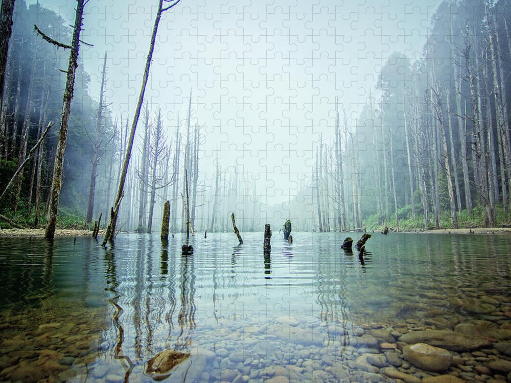 Scenics Jigsaw Puzzle featuring the photograph Aqua Forest by Tank