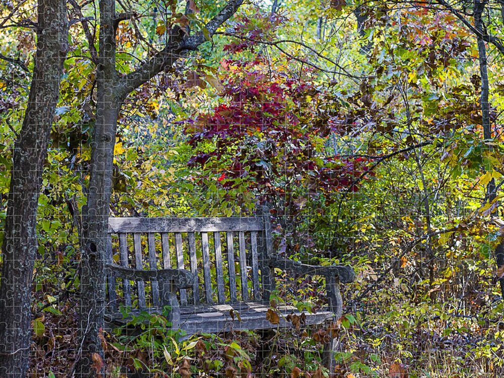 Arboretum Jigsaw Puzzle featuring the photograph Arboretum bench by Steven Ralser