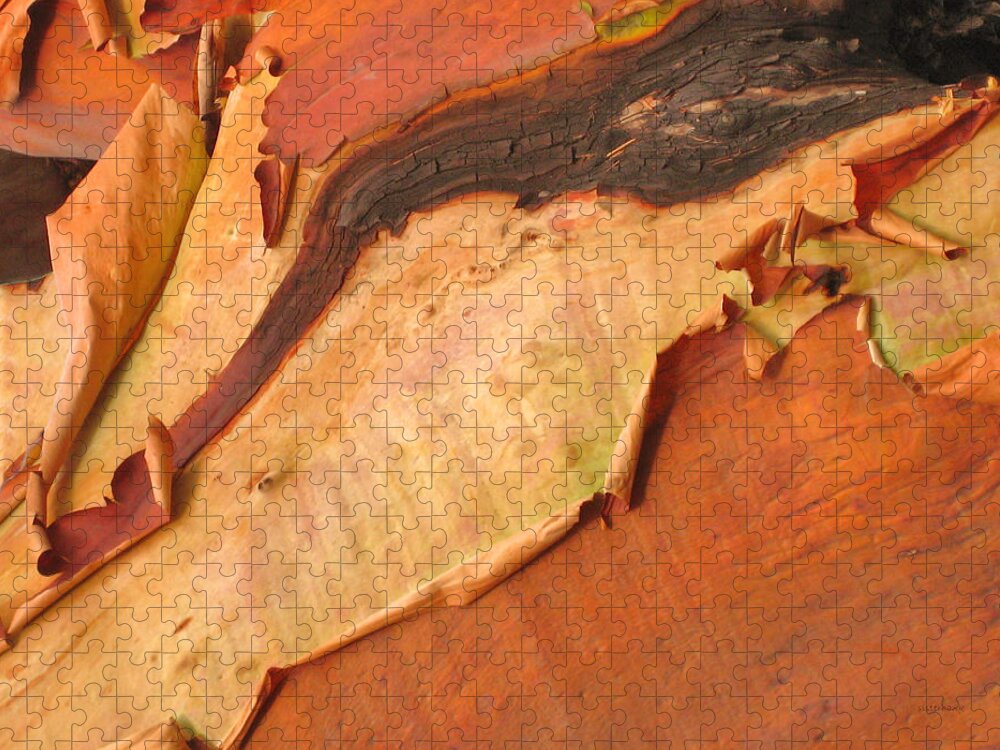 Tree Jigsaw Puzzle featuring the photograph Arbutus by Kathy Bassett