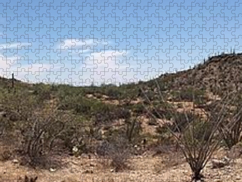Arizona Jigsaw Puzzle featuring the photograph Arizona Desert Panorama by Joe Kozlowski