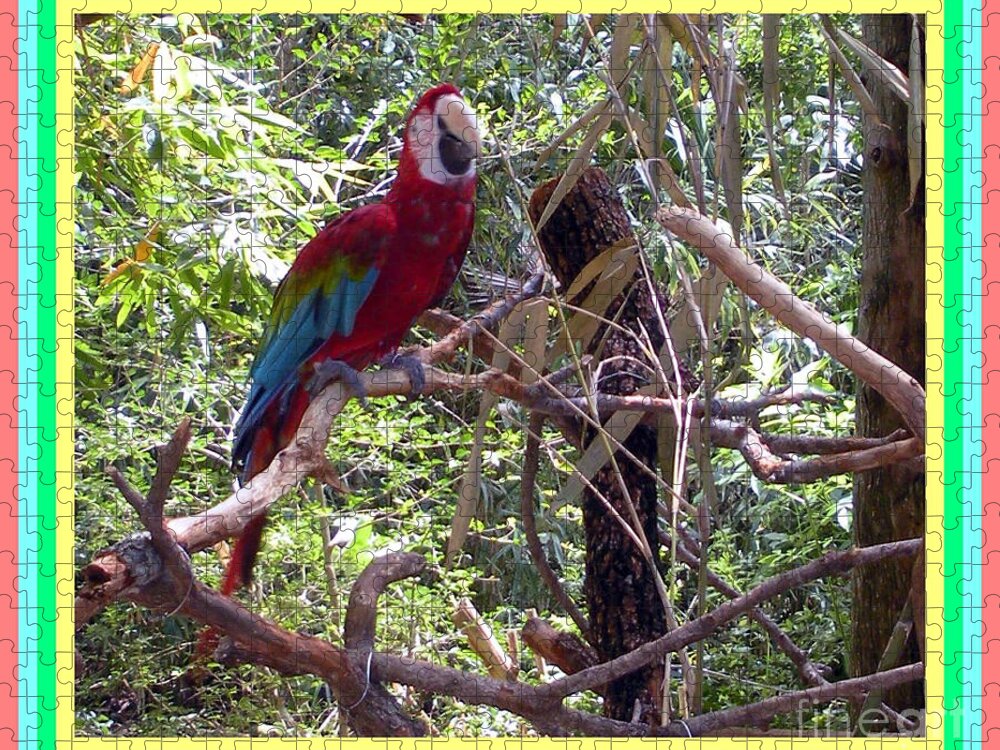 Artistic Jigsaw Puzzle featuring the photograph Artistic Wild Hawaiian Parrot by Joseph Baril