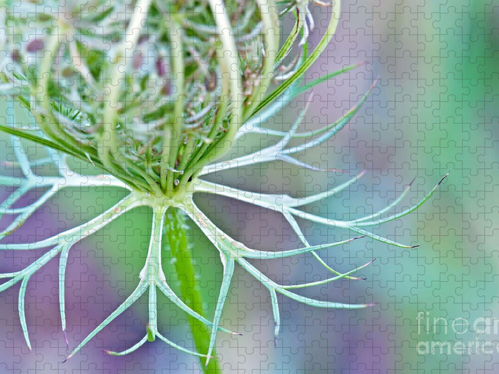 Wildflower Photography Jigsaw Puzzle featuring the photograph Artsy Pastal Wildflower by Gwen Gibson