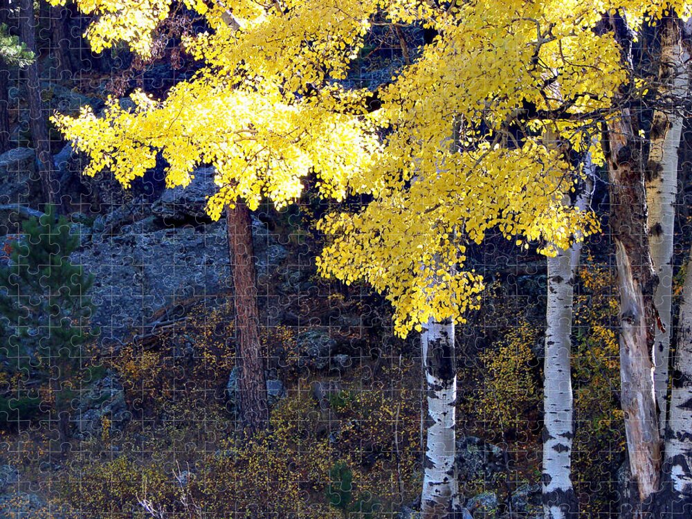 Aspen Jigsaw Puzzle featuring the photograph Aspen Bright by Linda Cox