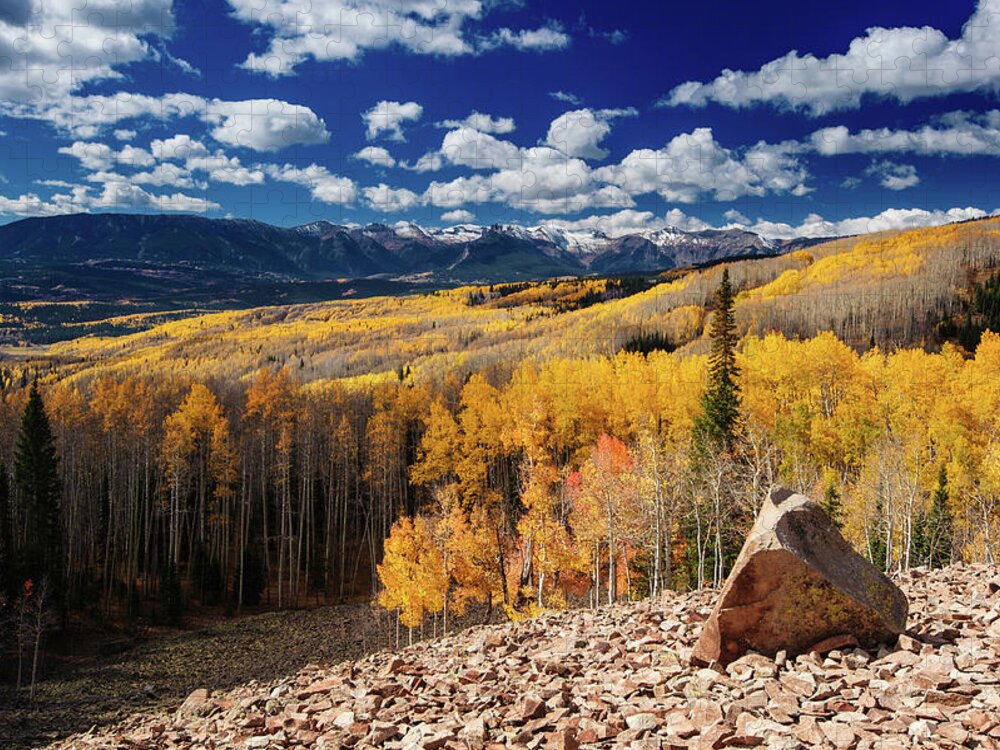 Scenics Jigsaw Puzzle featuring the photograph Aspen Forest by Piriya Photography