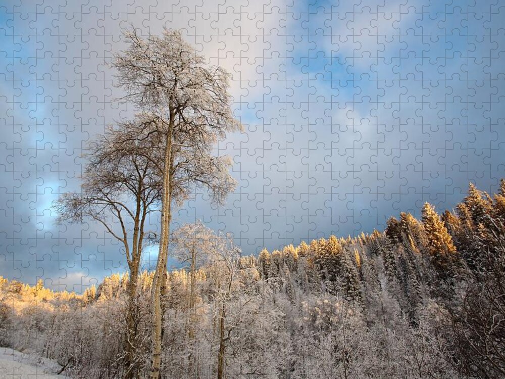 Landscape Jigsaw Puzzle featuring the photograph Aspen in Blue by David Andersen