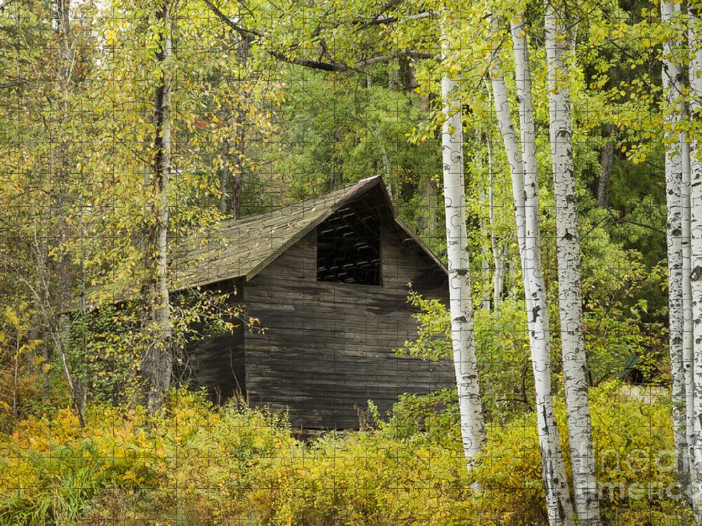 Idaho Jigsaw Puzzle featuring the photograph Aspens and Barn by Idaho Scenic Images Linda Lantzy