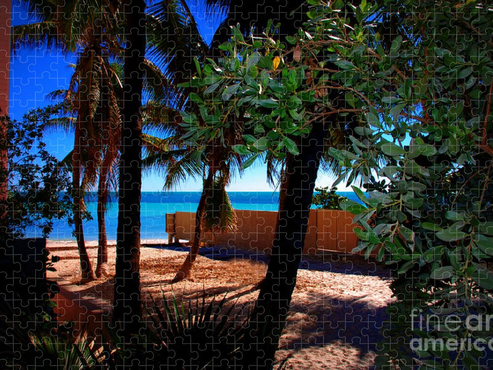 Dogs Beach Jigsaw Puzzle featuring the photograph At Dog's Beach in Key West by Susanne Van Hulst