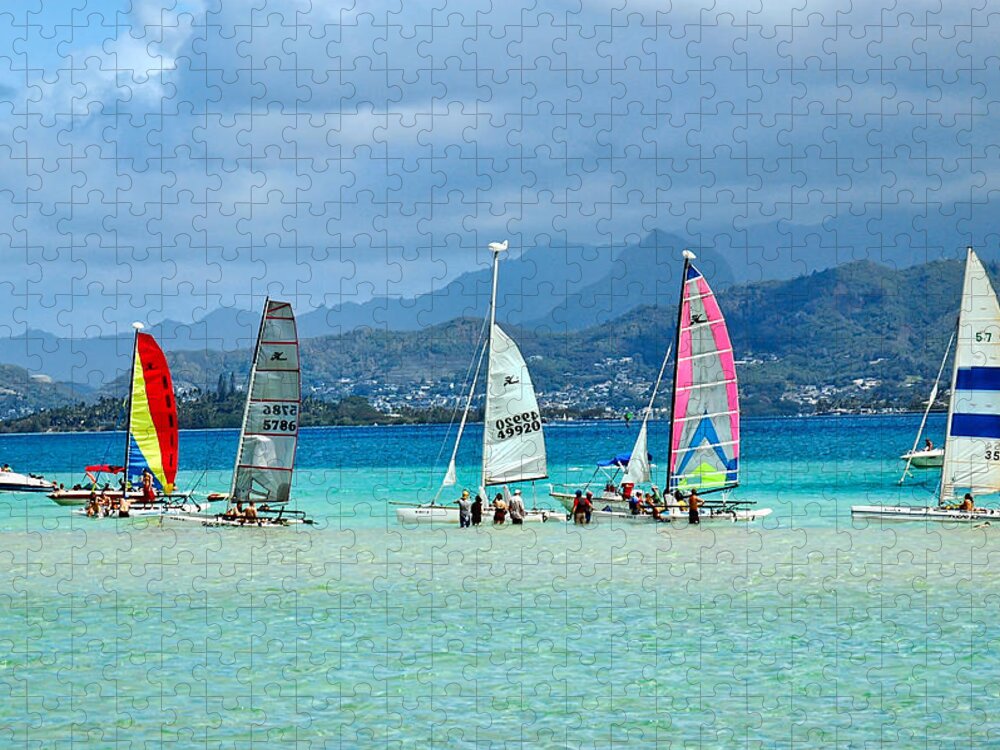 Hawaii Jigsaw Puzzle featuring the photograph At the Sandbar by Dan McManus