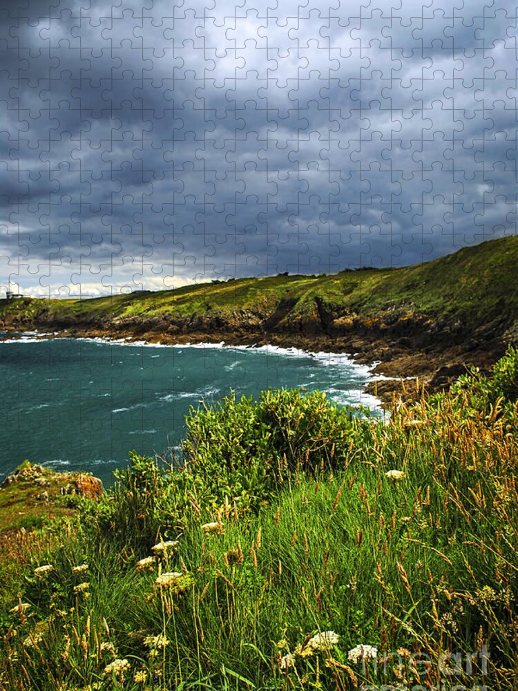 Ocean Jigsaw Puzzle featuring the photograph Atlantic coast in Brittany 2 by Elena Elisseeva