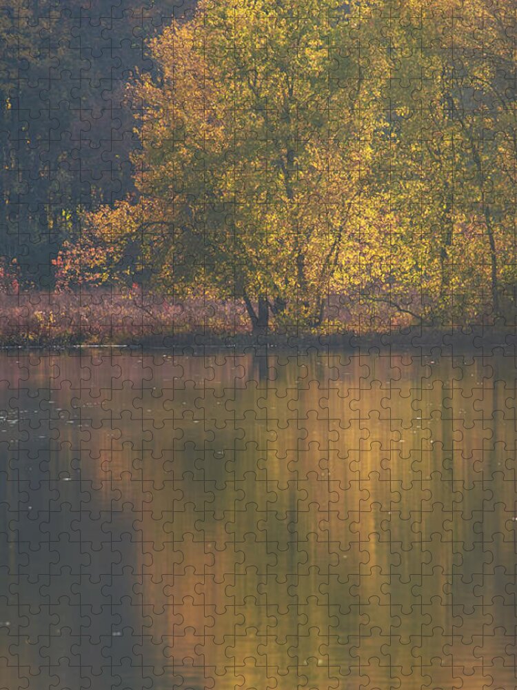 Autumn Jigsaw Puzzle featuring the photograph Autumn Backlight by Jean-Pierre Ducondi