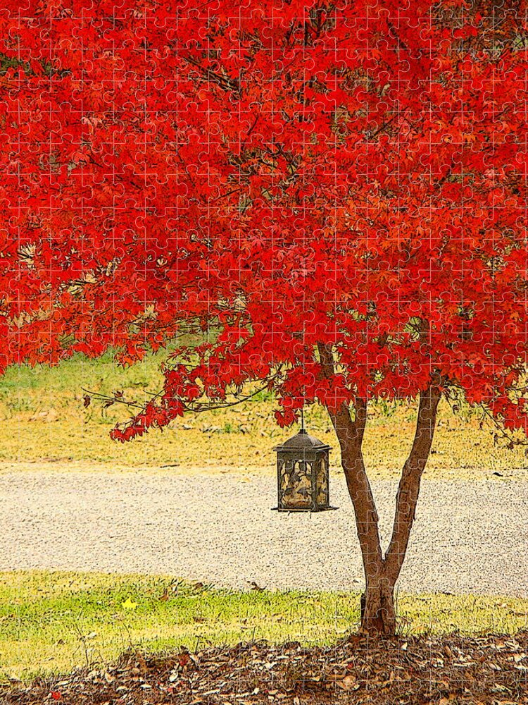 Fine Art Jigsaw Puzzle featuring the photograph Autumn by The Road by Rodney Lee Williams