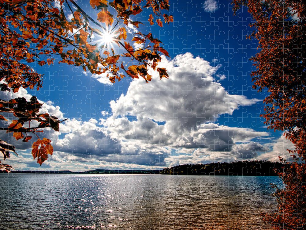 Landscape Jigsaw Puzzle featuring the photograph Autumn Confidential by Bob Orsillo